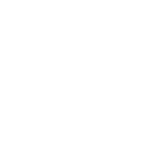 Brush icon